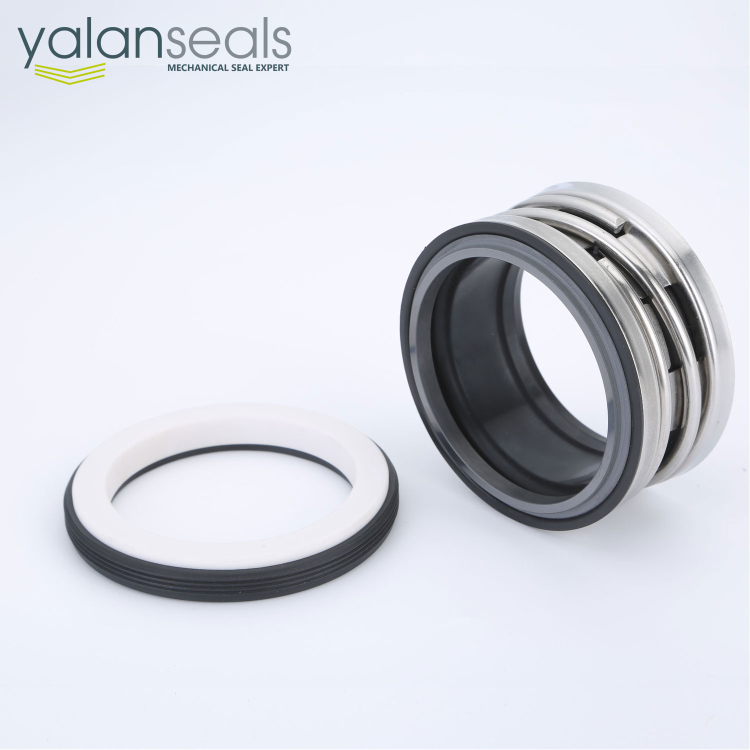 2100 Mechanical Seal