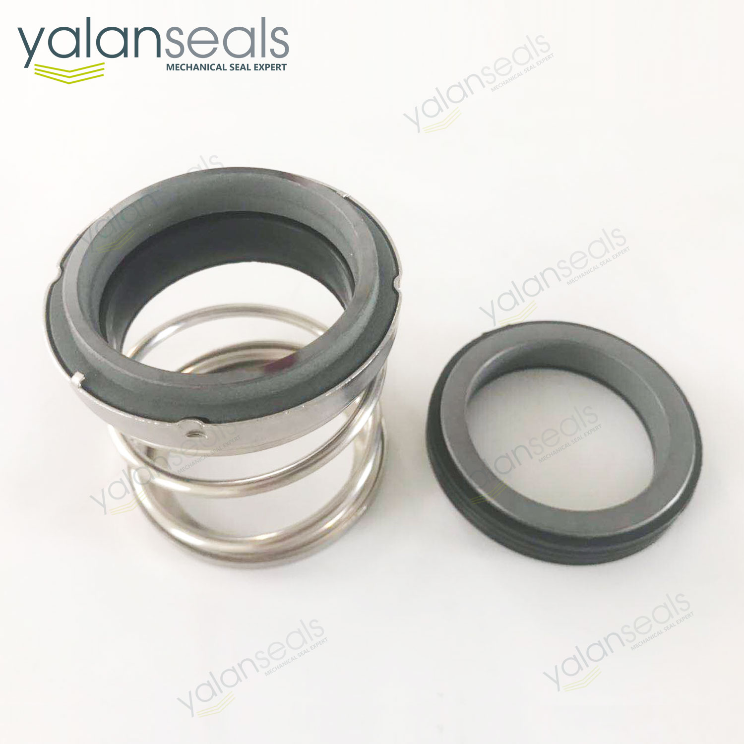 EA560 Elastomer Bellow Mechanical Seal