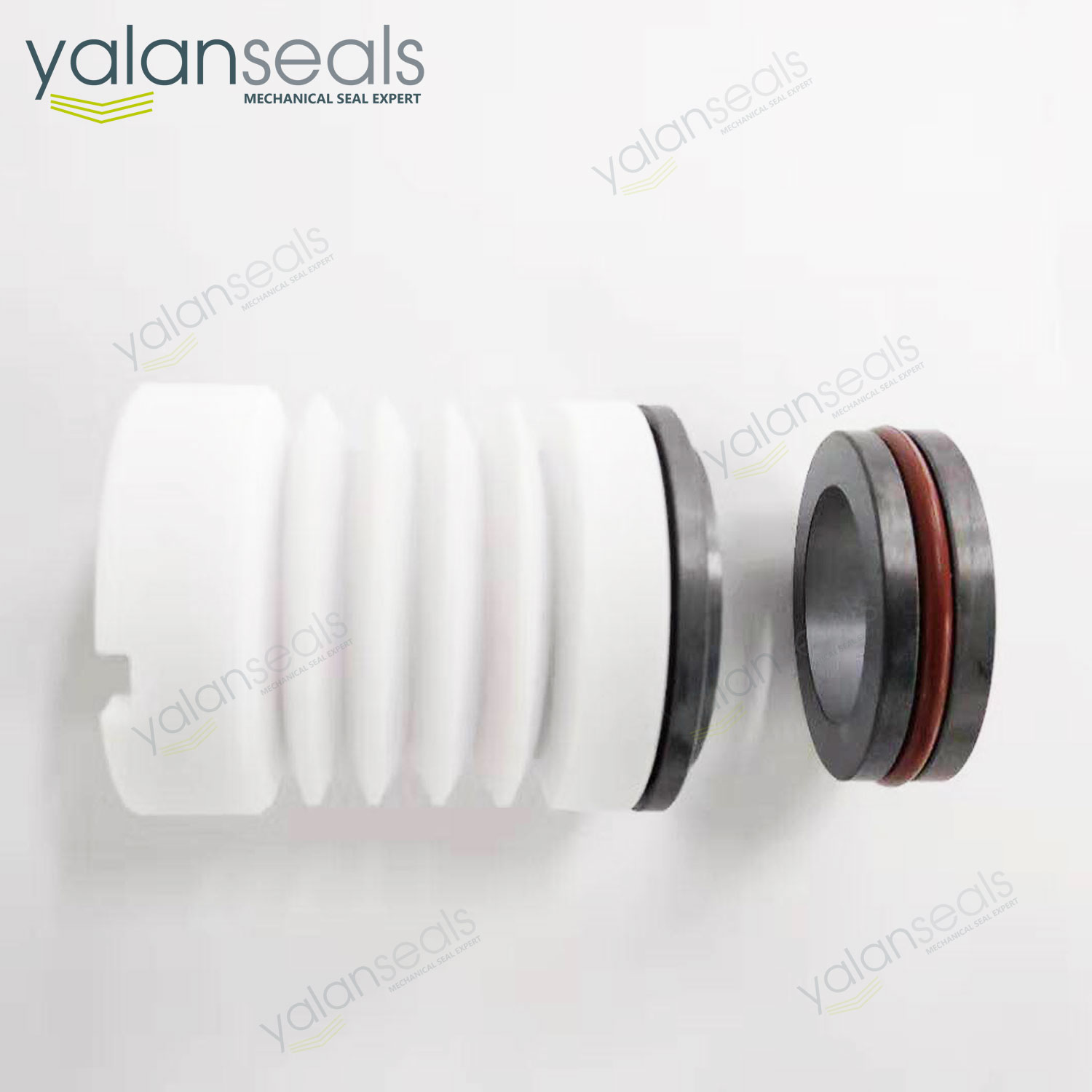 SD-25 Single Spring PTFE Bellow Mechanical Seal for Acid Pumps